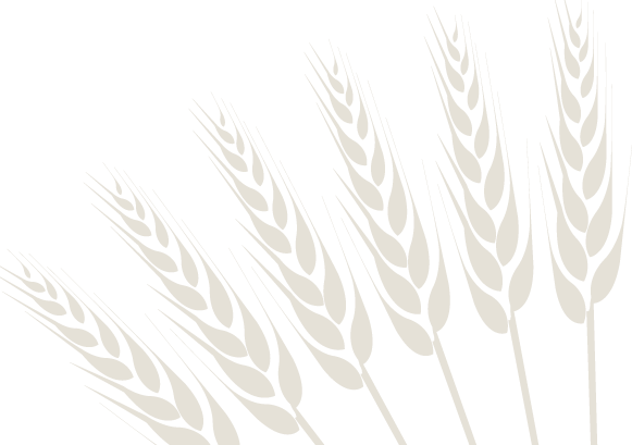 epis de blé